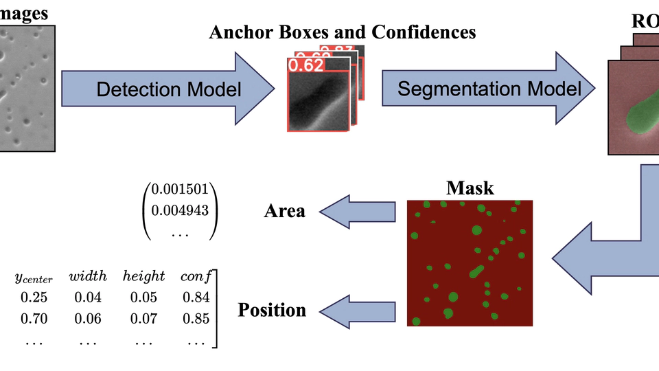 Accurate Identification and Measurement of the Precipitate Area by Two-Stage Deep Neural Networks in Novel Chromium-Based Alloy